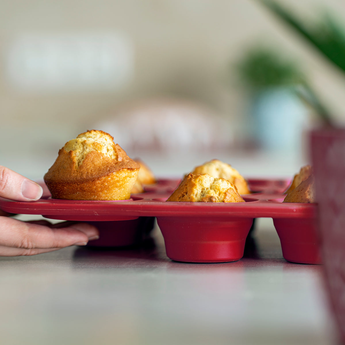 Muffinform 12