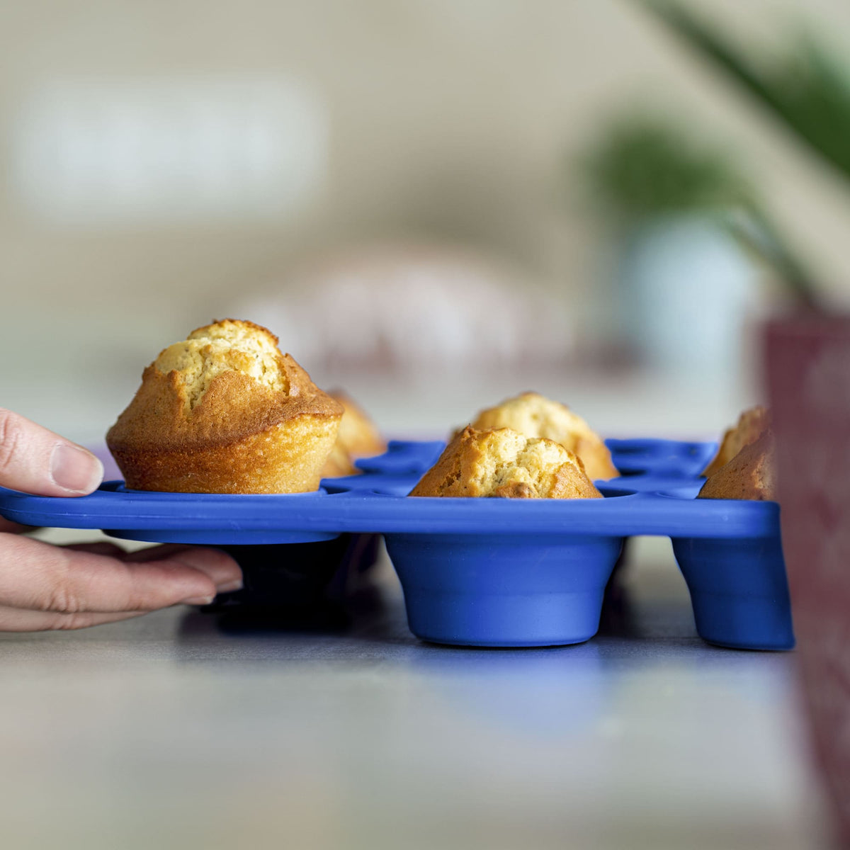 Muffinform 12