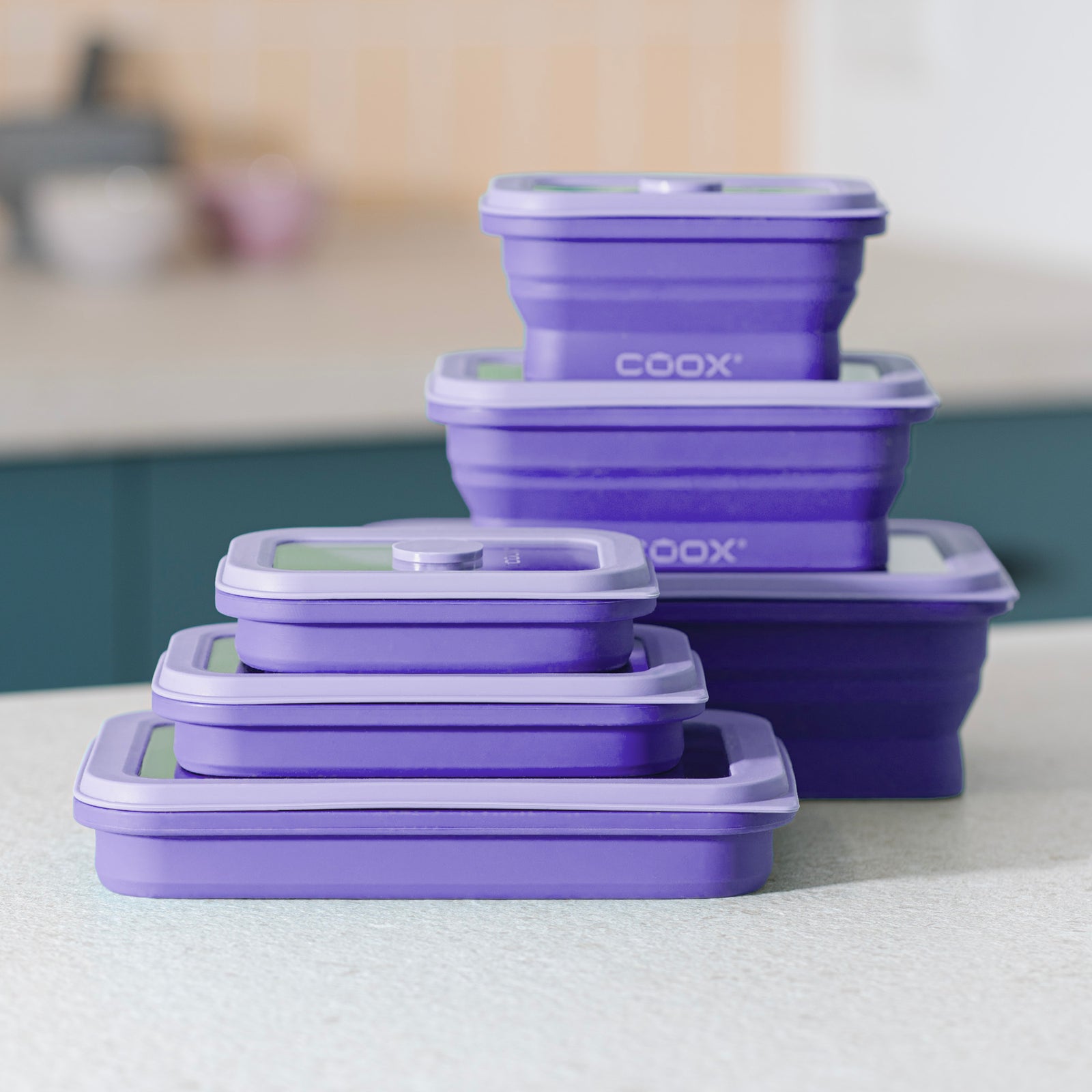 6er-Set Faltdosen – Ideal für Meal Prep und Vorratshaltung – coox