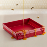 WUNDERFORM Frame MQ - Weltbienentag