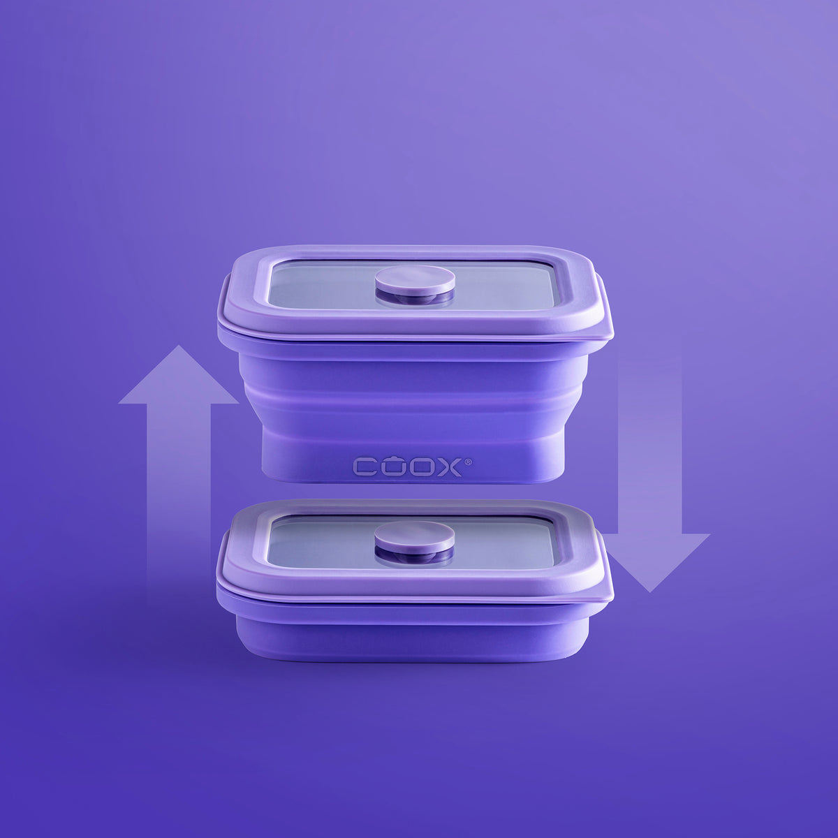 Dosen-Set S: 3x 250 ml