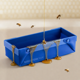 WUNDERFORM Frame M - Weltbienentag